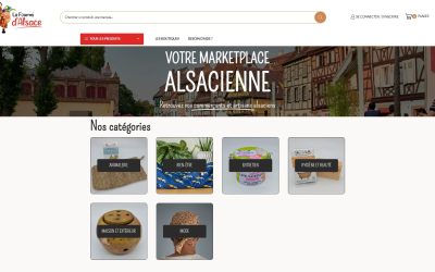 Création de la Marketplace E-commerce La Fourmi d’Alsace